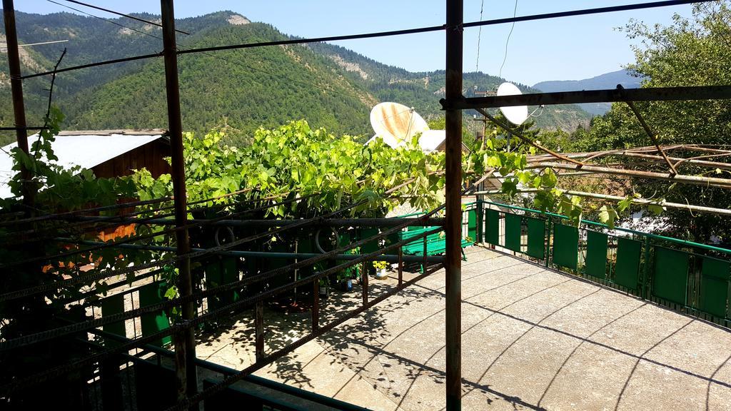 Guest House Salome 博尔若米 外观 照片